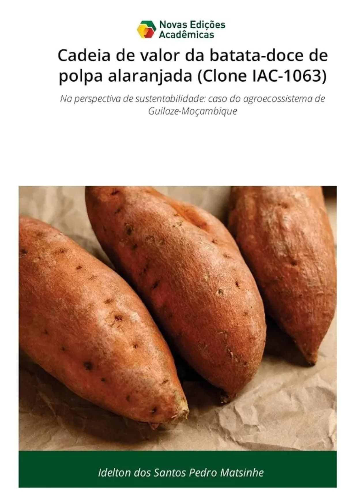 Cadeia de valor da batata-doce de polpa alaranjada (Clone IAC-1063)