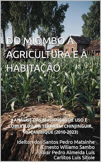 DO MIOMBO À AGRICULTURA E À HABITAÇÃO: ANÁLISE DAS MUDANÇAS DE USO E COBERTURA DA TERRA EM CHINJINGUIR, MOÇAMBIQUE (2010-2023) (Portuguese Edition)